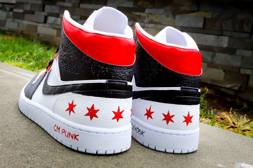 CM Punk: Best In The World